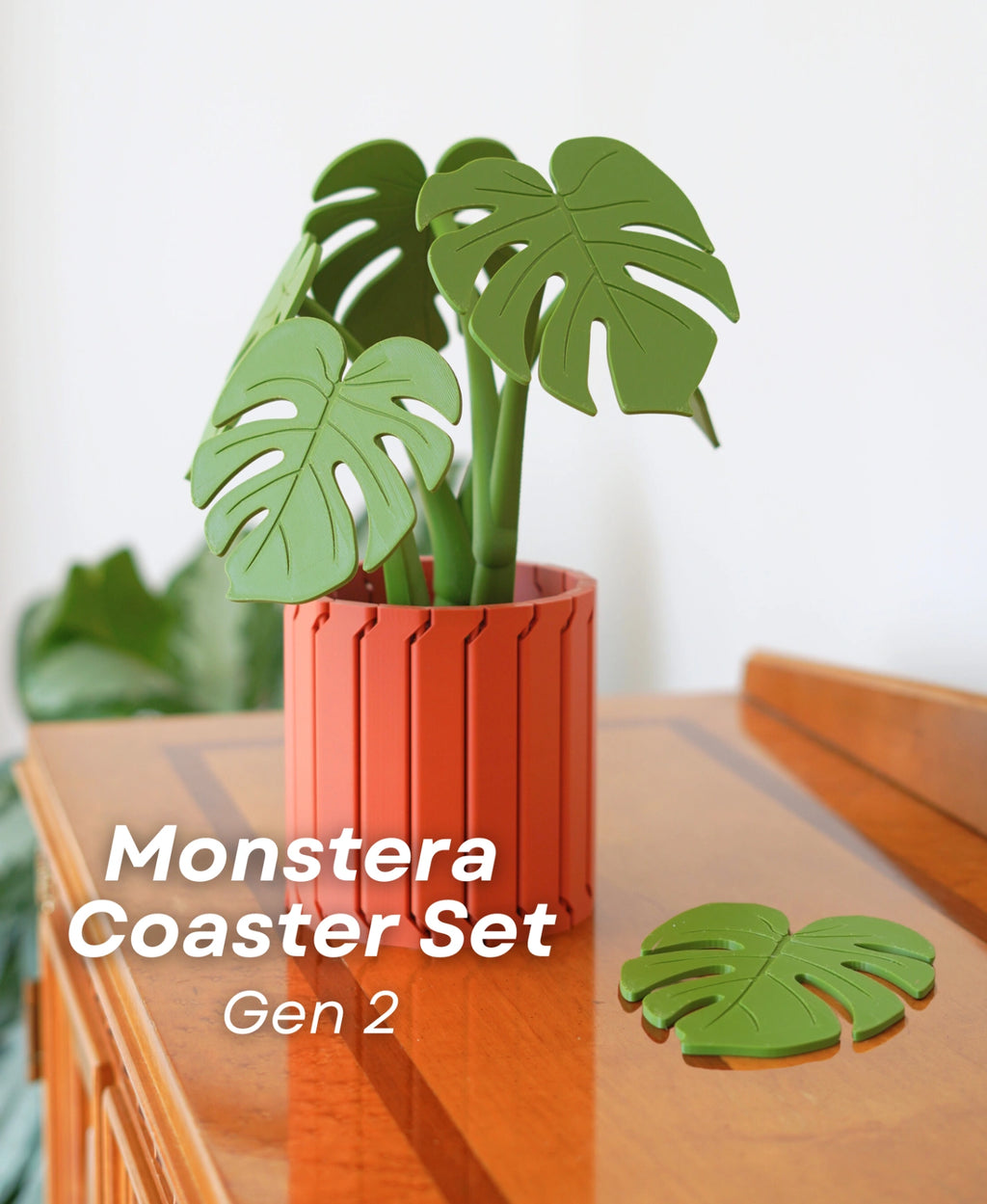 Monstera Coaster Set (Gen 2) – Dekorative Pflanze & Untersetzer in einem!