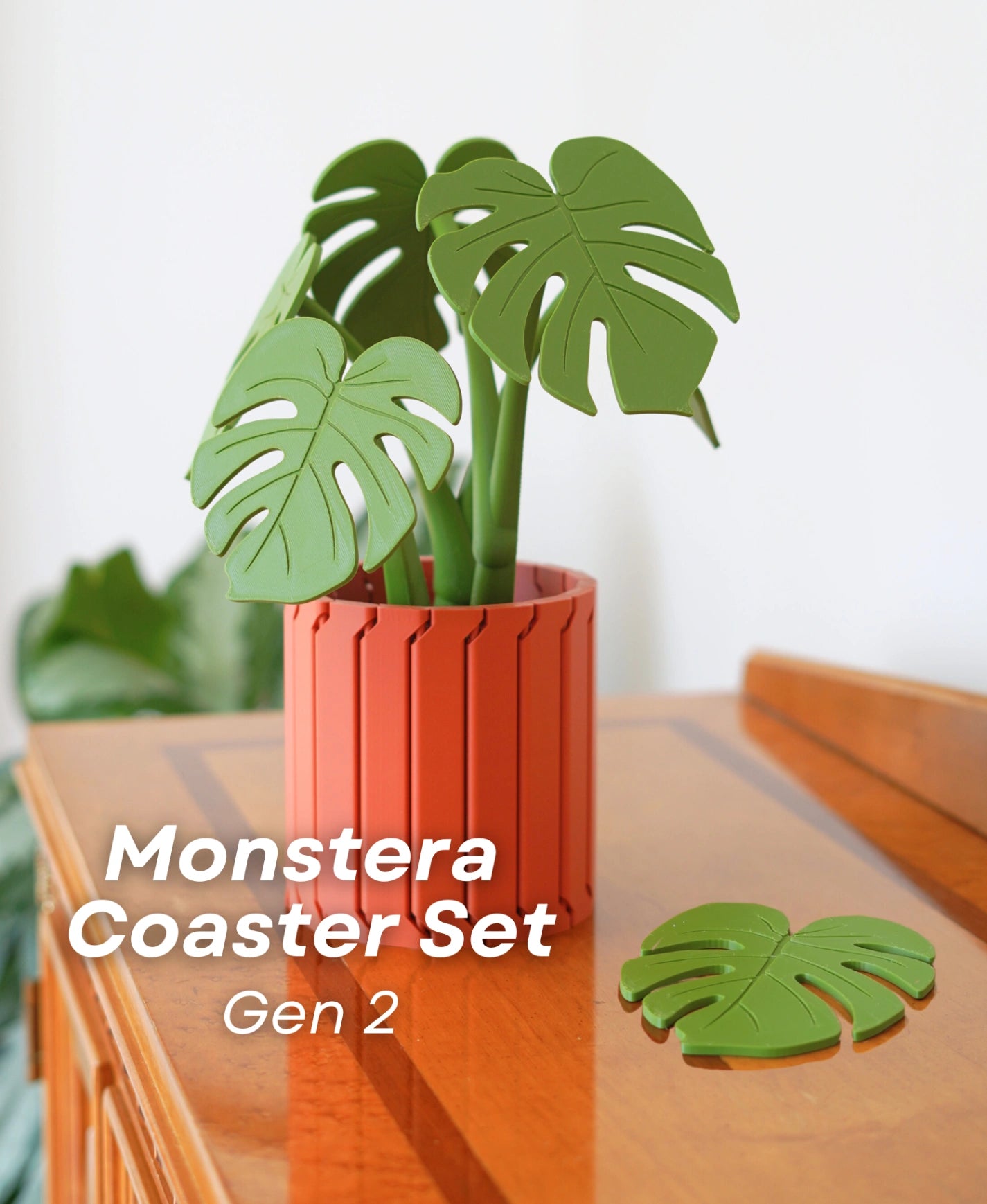 Monstera Coaster Set (Gen 2) – Dekorative Pflanze & Untersetzer in einem!
