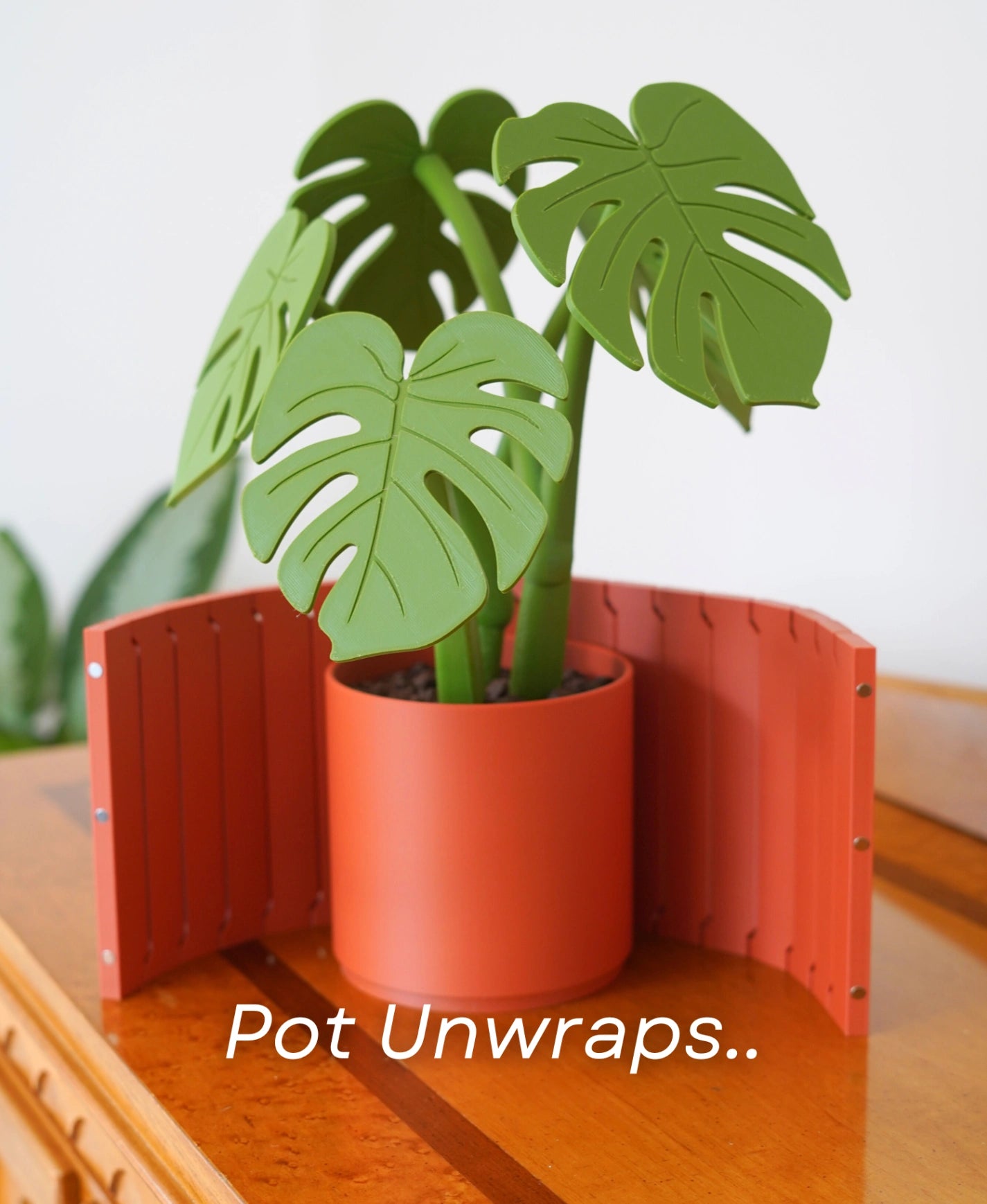 Monstera Coaster Set (Gen 2) – Dekorative Pflanze & Untersetzer in einem!