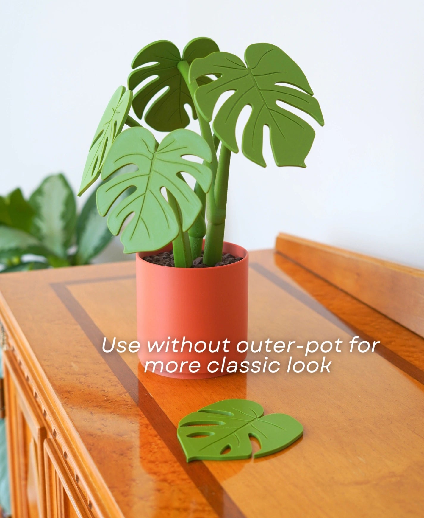Monstera Coaster Set (Gen 2) – Dekorative Pflanze & Untersetzer in einem!